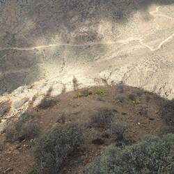 Schatten meiner selbst