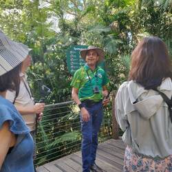 Gids Tim vertelde duidelijk van alles over het regenwoud