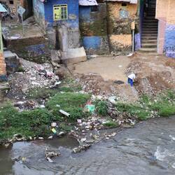 Überall dieser Müll ...