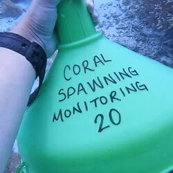 Beim Installieren der "Hüte"