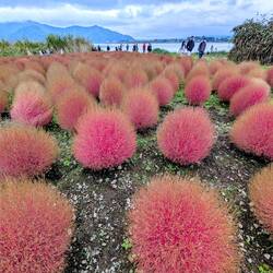 Das könnten schöne Bilder werden mit dem Berg 🤷