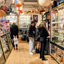 When the reality is not longer enough: legal shop of psychotropic substances.