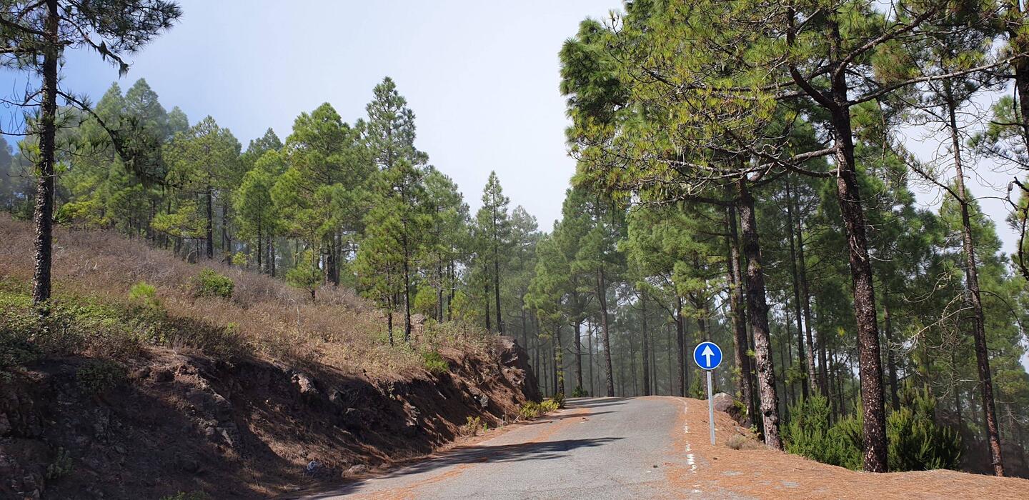 Leichte Nebelschleier