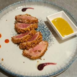 Tonno scottato con pistacchio a due consistenze