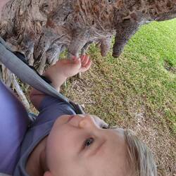 er muss immer schaun wie hoch der Baum bzw. die Pflanze ist - sooo cute!