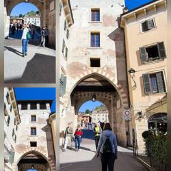 Da läuft ein schlauer 🦊