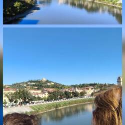 Da schauen die schlauen 🦊🦊