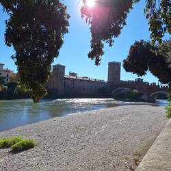 Lasten but not least