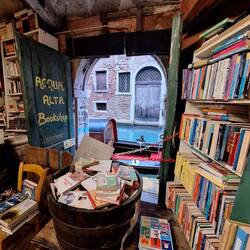 Katzen Antiquariat - mit Kanal Zugang