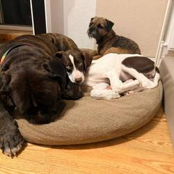 Erholung im Spaßparadies