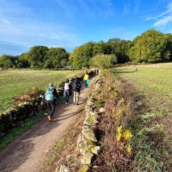 The trail is much busier out of Sarria, as many people start their Camino here.