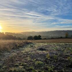 After all the clouds and rain the last few days, it was so nice to see the sun this morning. 🌞