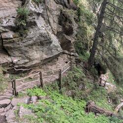 Er hatte gut zu tun😁