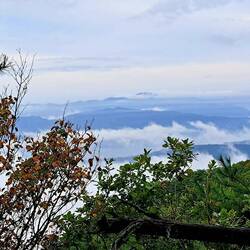On top of Toham Mountain, before the walk to the Buddha temple.