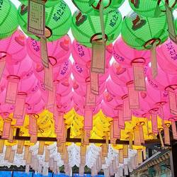Prayers are written on tags & suspended from lanterns; white lanterns are for those who have passed.