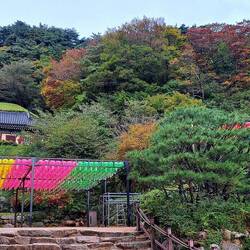 The temple (upper left).