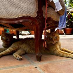 Und auf unserer Terasse! Wie schön