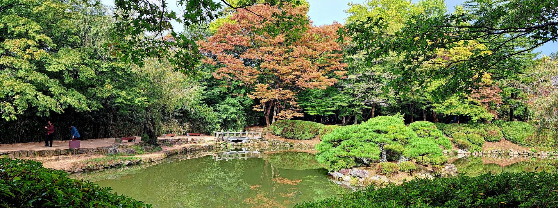 There are some beautiful gardens in this park.