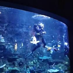 Info en ook overtijd. Heel druk dus veel geluid