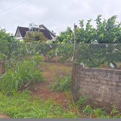 Not sure what's in those bags