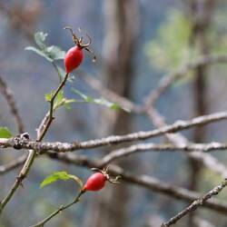 Natur im Herbstmodus.