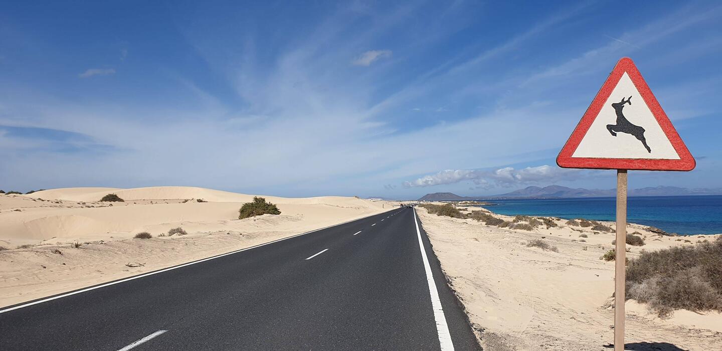 Finde den Fehler 😁