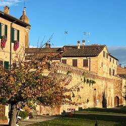 Leaving Buonconvento