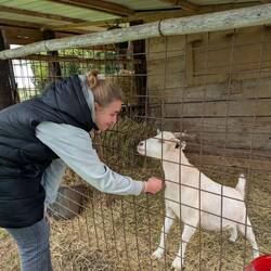 Eine neue Freundschaft