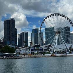 Downtown Miami 🎡