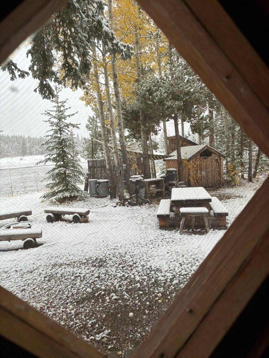 Der erste Blick am Morgen – über Nacht hat der Schnee alles verwandelt.