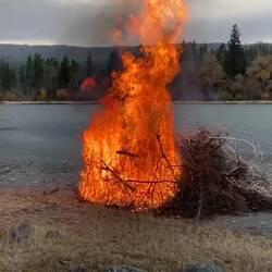 Knisterndes Feuer am Seeufer: altes Holz wird sicher verbrannt.