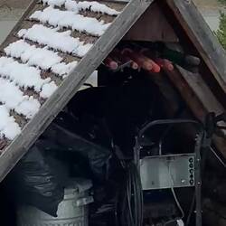 Ein Eichhörnchen-Pärchen.