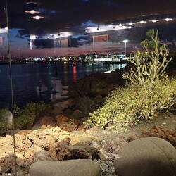 Blick durch die Panorama Scheibe