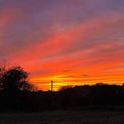 Beautiful sunset colors tonight 🥰