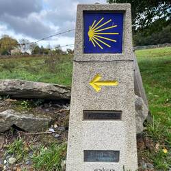 67 km to go!! I can hardly believe it.