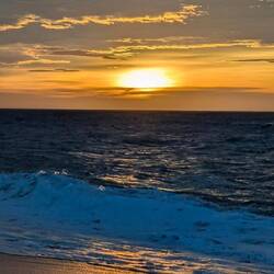 Schnell zum Anschwimmen...