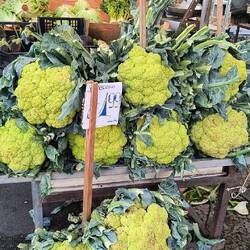 Big, green cauliflower