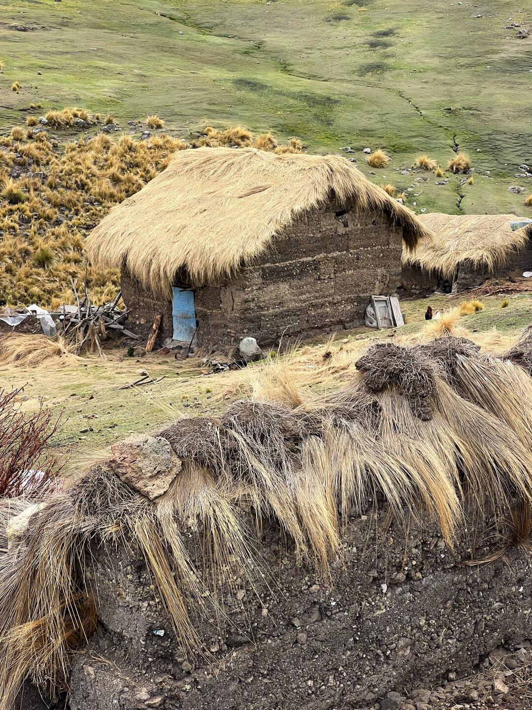 Thatched mud houses on the high plateau