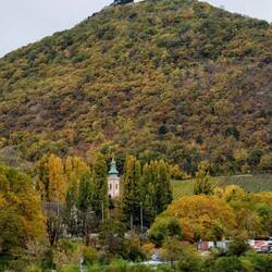Leopoldsberg mir Leopoldskirche 🇦🇹