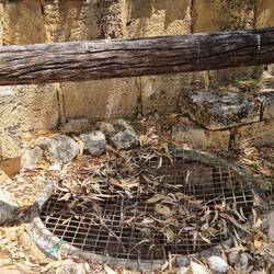 Well out theback for water supply