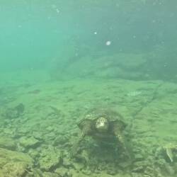 Die war so riesig 😯