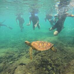 Diese war dagegen klein, aber farbenfroher