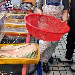 And now, the fish market.