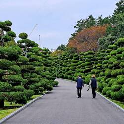 The cemetery is beautifully maintained by the UN.