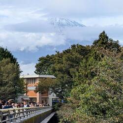 Er taucht zaghaft auf