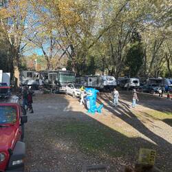 More kids in costumes