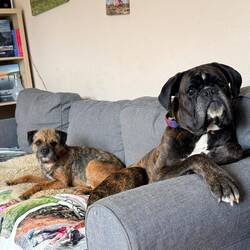 Ob sie wohl wieder mit nach Hause kommen?!