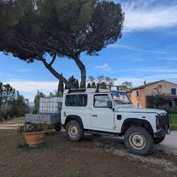 Die klägliche Olivenöl-Ausbeute... In guten Jahren 1,5 Tanks!