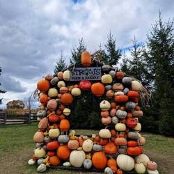Pumpkin Patch