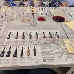 Hier heißt es tief ins Glas schauen